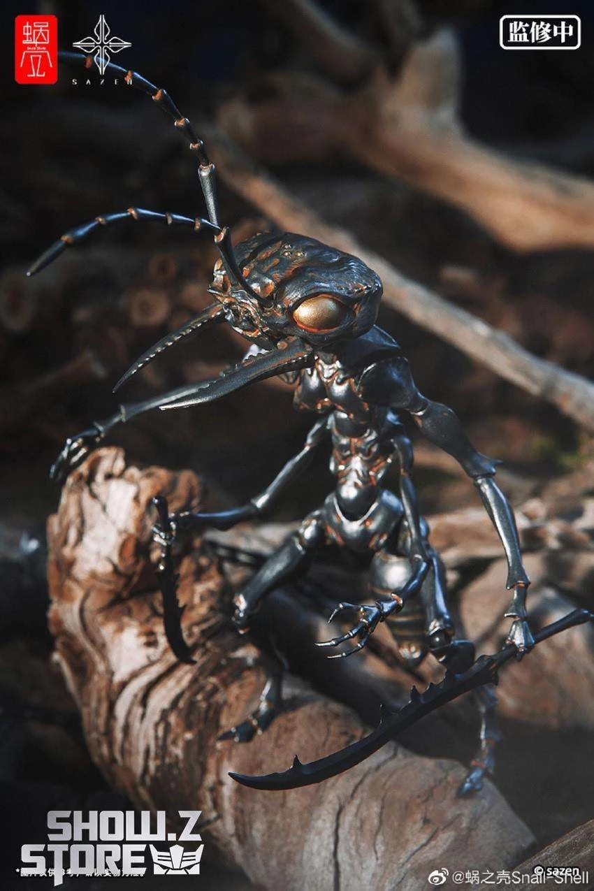 Snail Shell 1/12 Ant Soldier 16 Snail Shell 1/12 Ant Soldier - Image 14